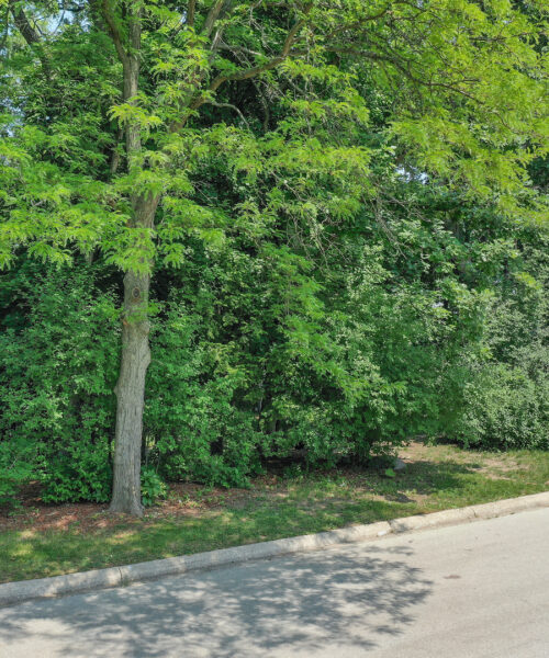 910 Saint Stephens Green, Oak Brook, IL