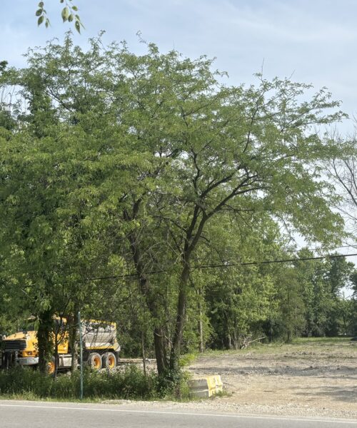 3949 Flossmoor Road, Flossmoor, IL