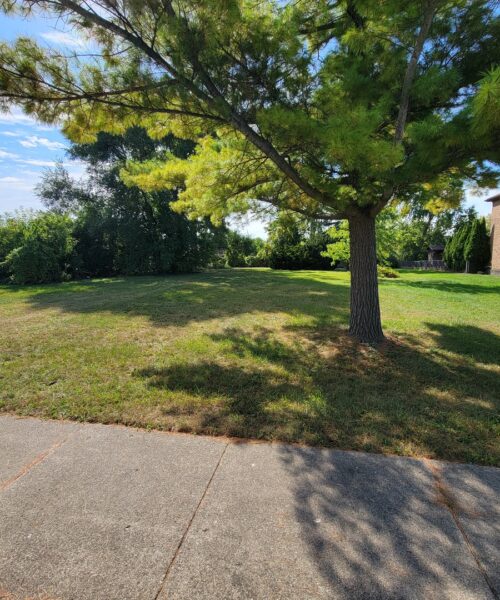 8619 W Park Lane, Niles, IL