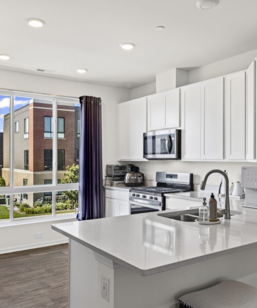 1294 Catalina Court, Schaumburg, IL