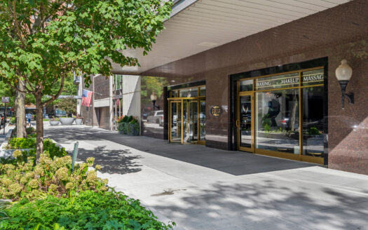 1313 N Ritchie Court #2701, Chicago, IL