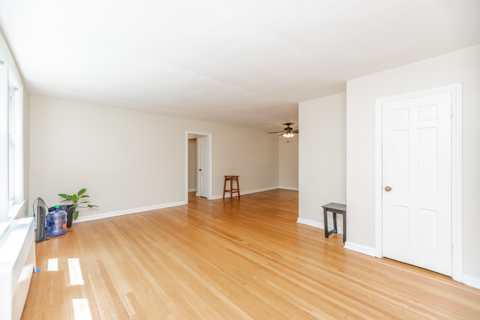 1143 E 50th Street #3S, Chicago, IL