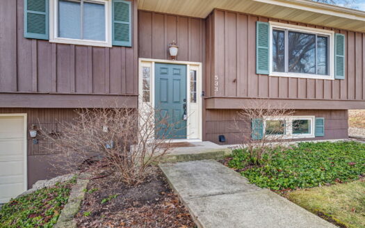 533 Hitchcock Avenue, Lisle, IL