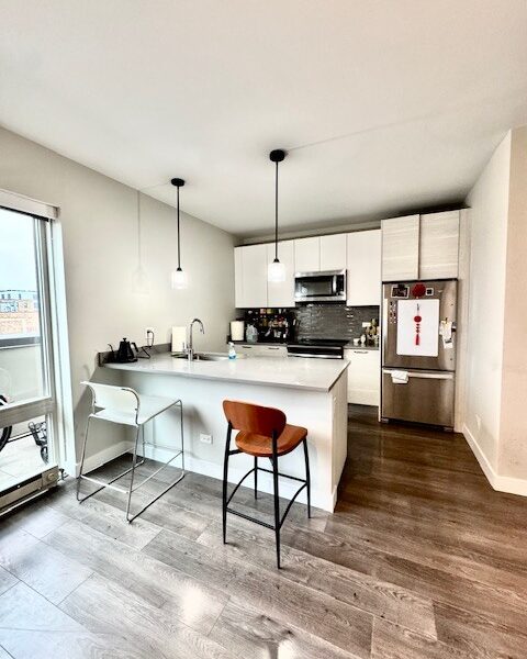 2407 W Eastwood Avenue #501, Chicago, IL