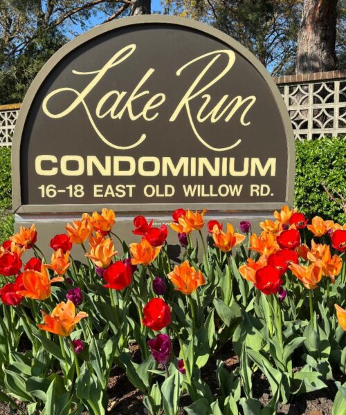 18 E Old Willow Road #419N, Prospect Heights, IL