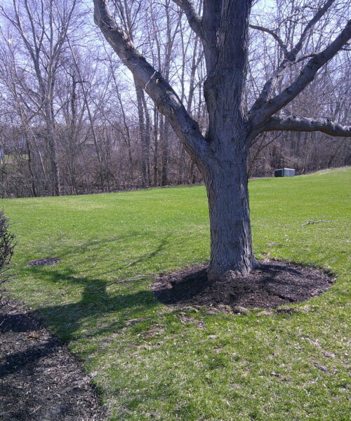 741 meridian Court, DeKalb, IL