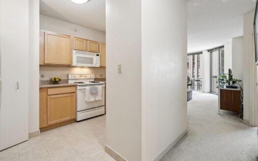 222 N Columbus Drive #508, Chicago, IL