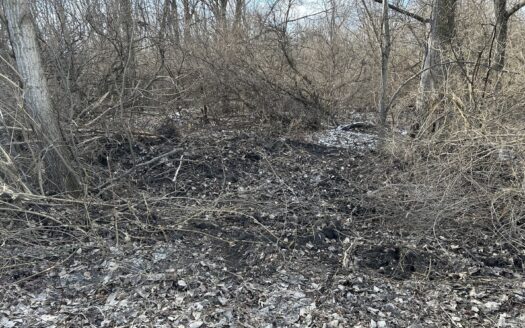 15000 15000 Road, Pembroke Twp, IL