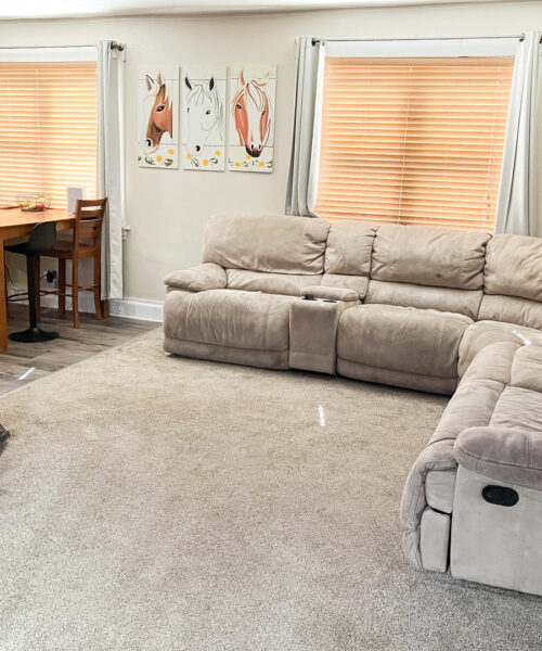 910 Main Street, Savanna, IL