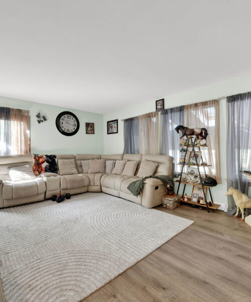 7245 W DRALLE Road, Monee, IL