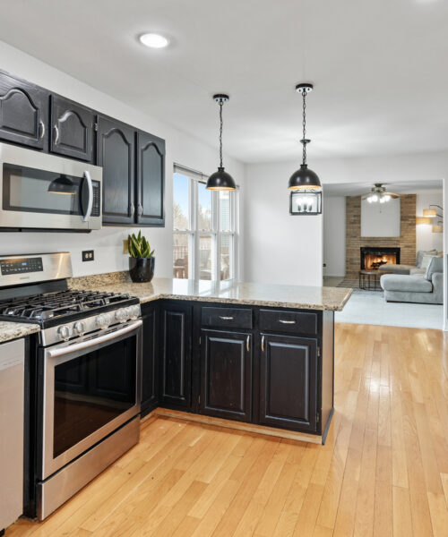 96 Alexandra Court, Mundelein, IL