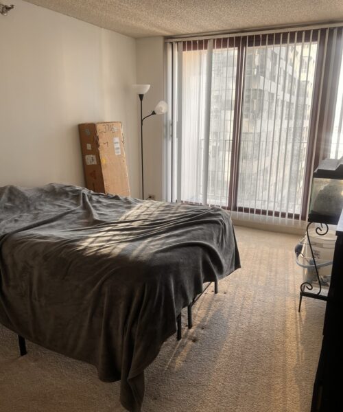 200 N Dearborn Street #3705, Chicago, IL