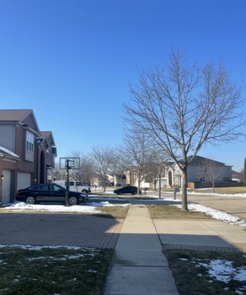 6513 Pine Hollow Road, Carpentersville, IL