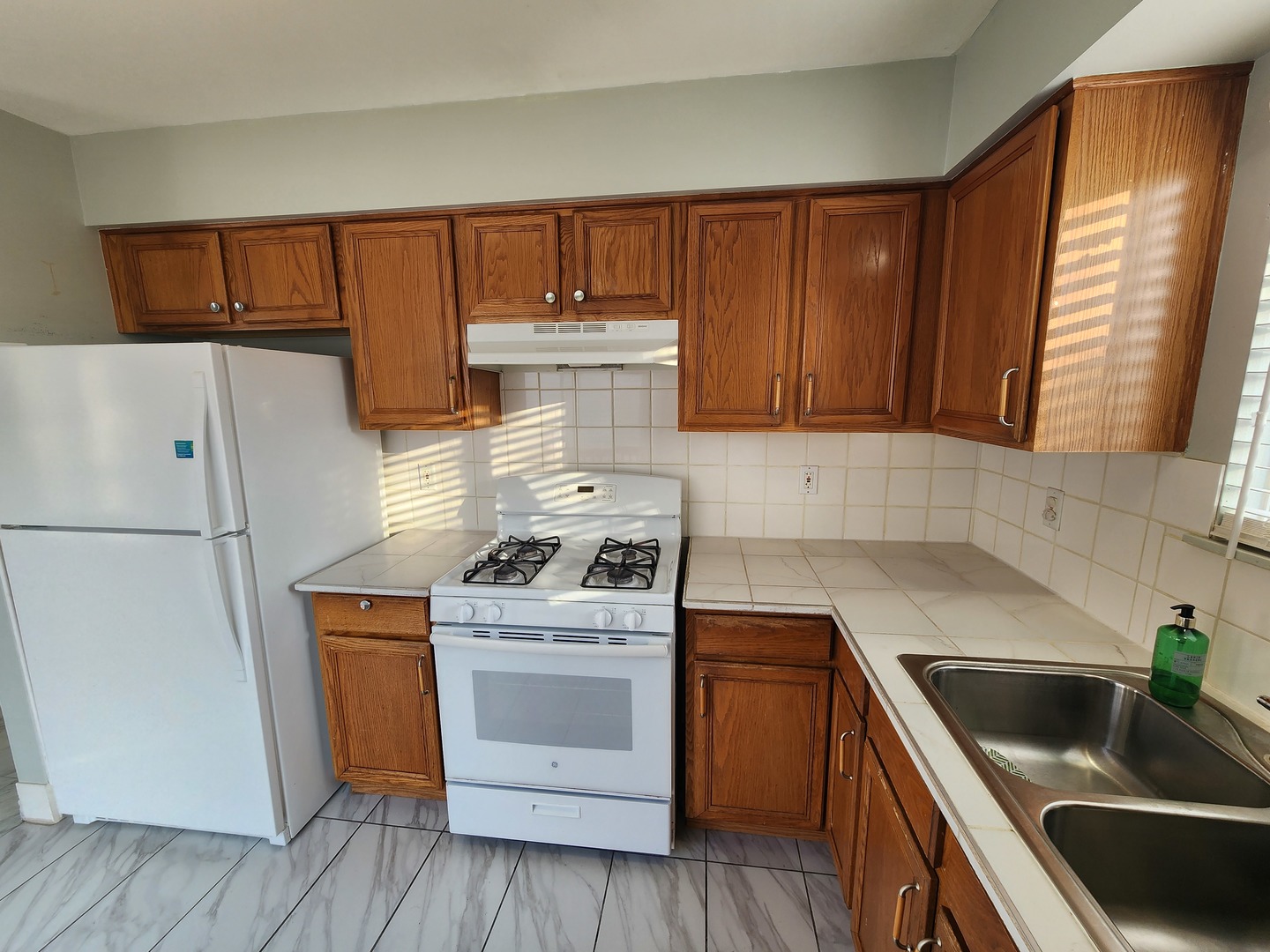 13862 Isle Royal Circle, Plainfield, IL