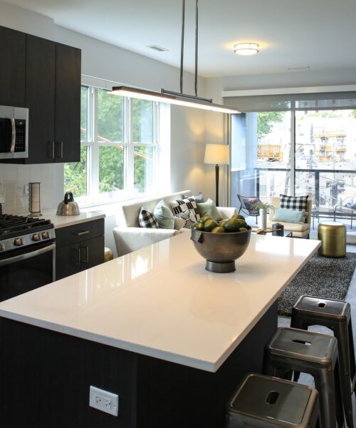 909 W Montana Street #403, Chicago, IL