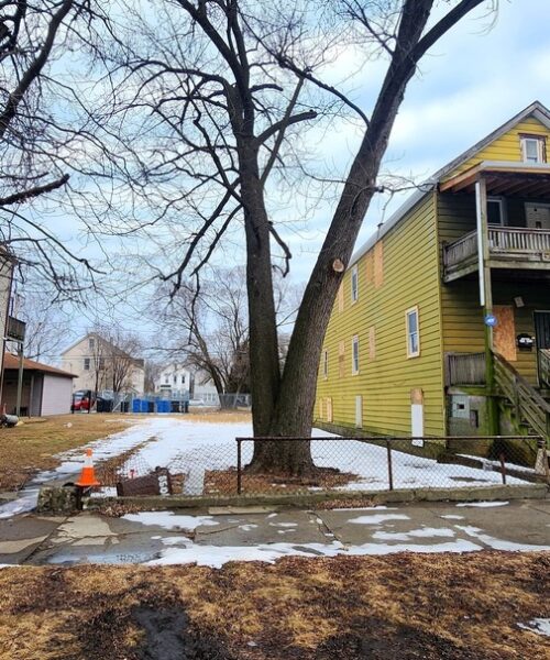 8507 S Brandon Avenue, Chicago, IL