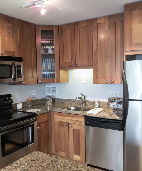 450 W Briar Place #6M, Chicago, IL