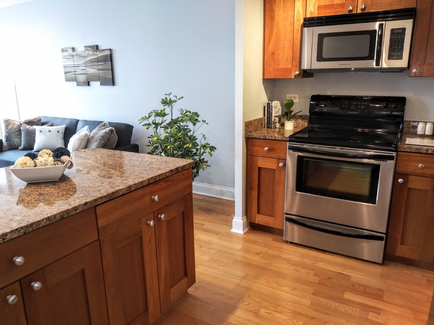 450 W Briar Place #6M, Chicago, IL