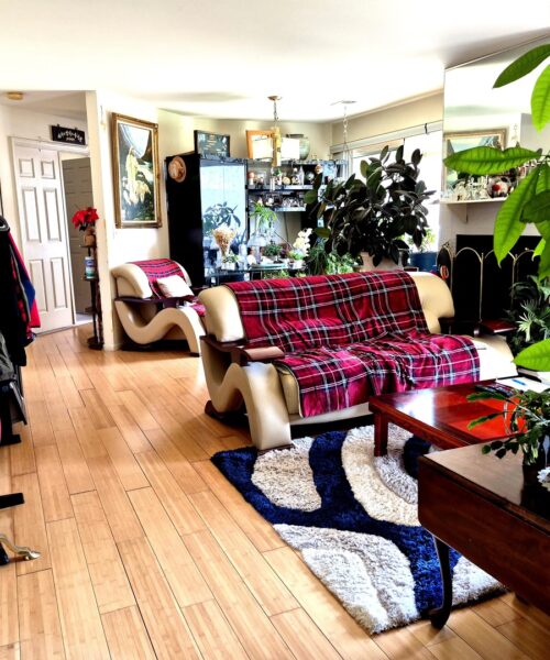 1215 N WILLIAMS Drive #1, Palatine, IL