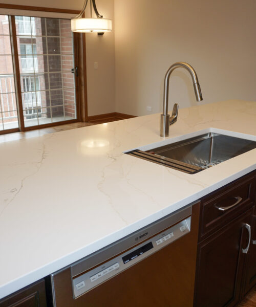 4811 N OLCOTT Avenue #516, Harwood Heights, IL