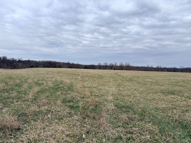 Schaefer Road, Plano, IL