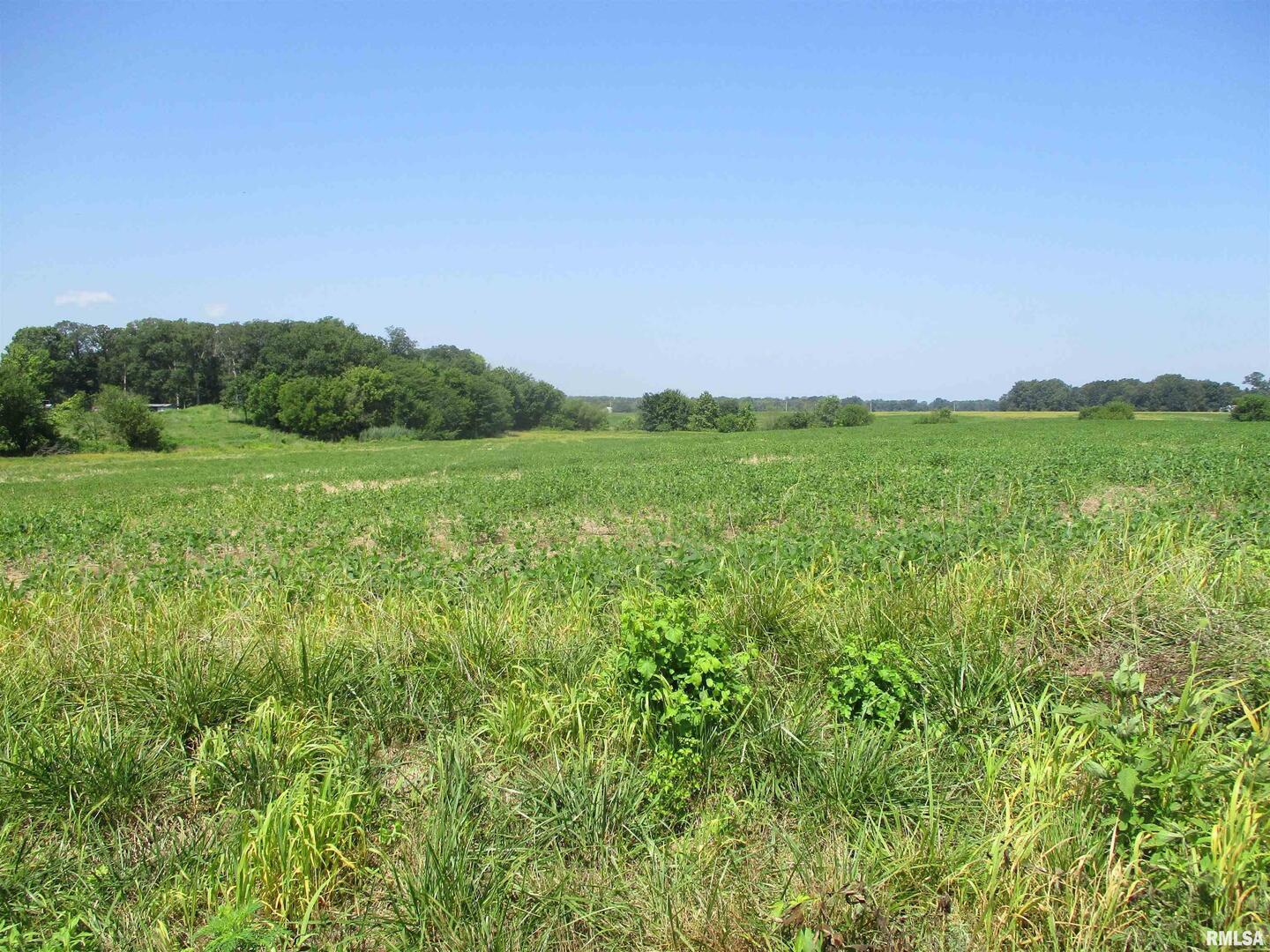 0000 Bean Road, Whittington, IL