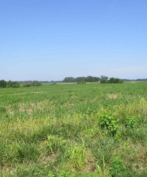 0000 Bean Road, Whittington, IL