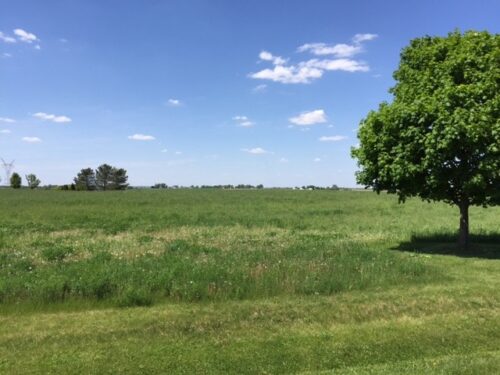 17402 Wildflower Circle, Union, IL