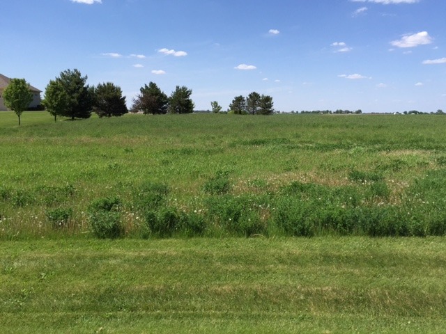 17402 Wildflower Circle, Union, IL