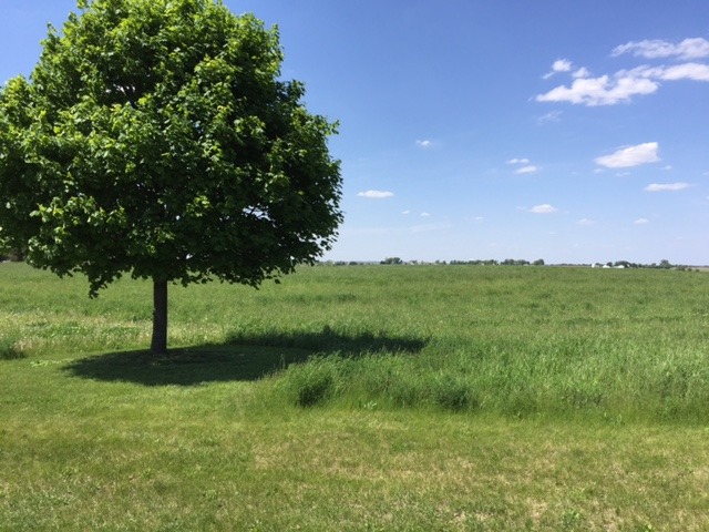 17402 Wildflower Circle, Union, IL