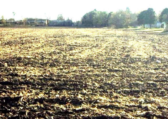 1644 E Grove Avenue, Rantoul, IL