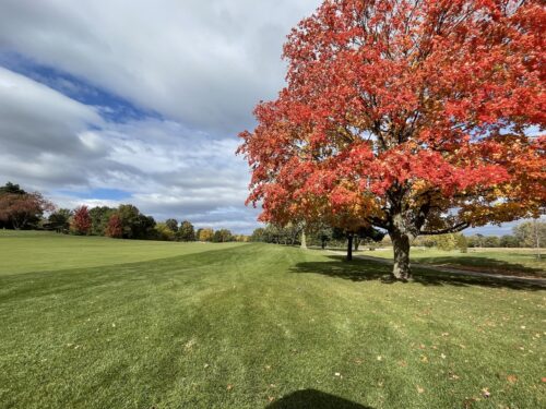20992 W Preserve Drive, Kildeer, IL