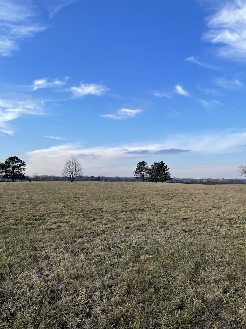 17408 Wildflower Circle, Union, IL