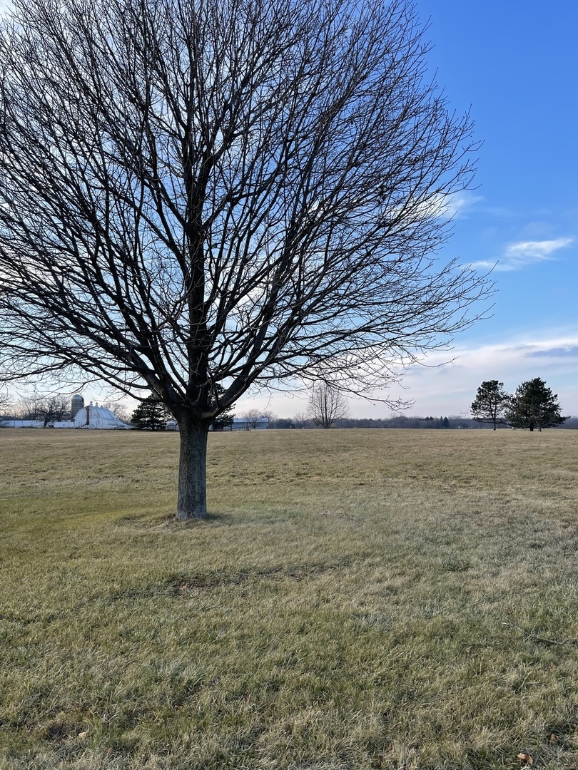 17408 Wildflower Circle, Union, IL