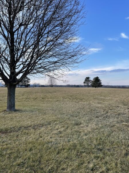 17408 Wildflower Circle, Union, IL
