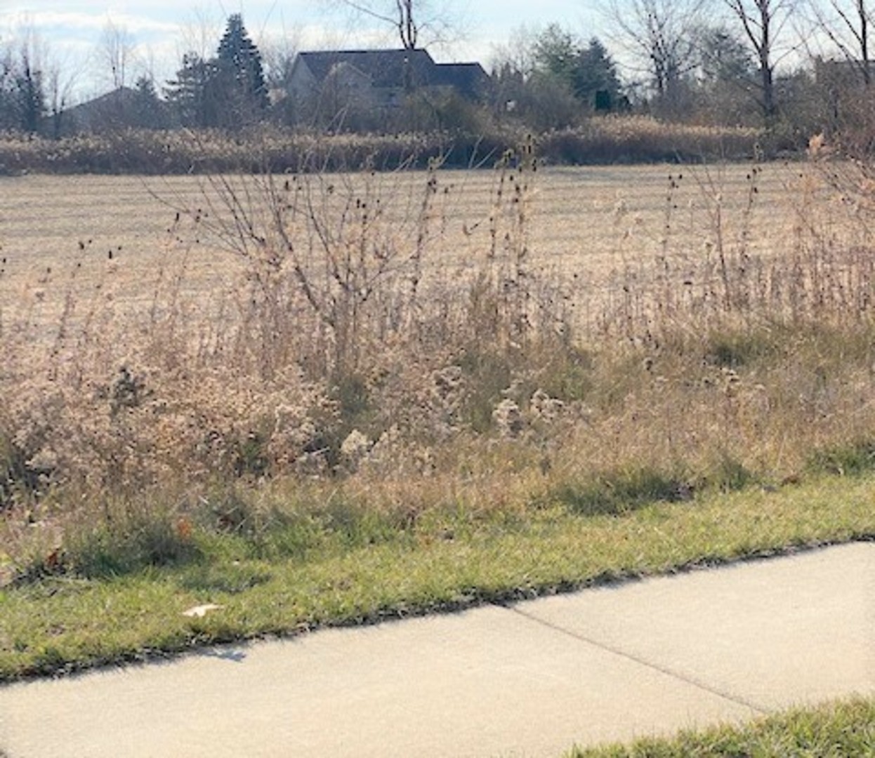 15355 W 159th Street, Lockport, IL