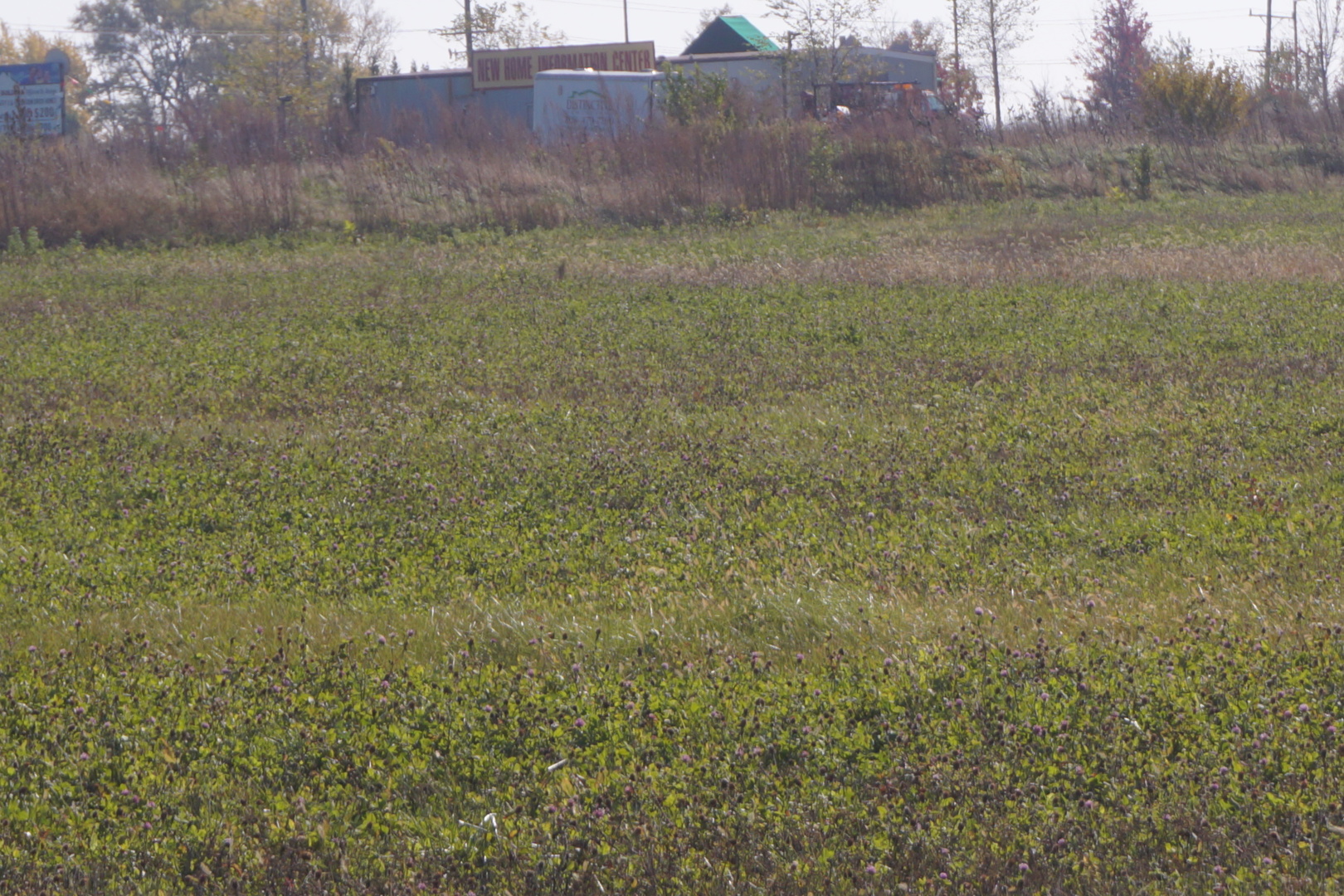 Lot2 S Arabian Avenue, Manhattan, IL