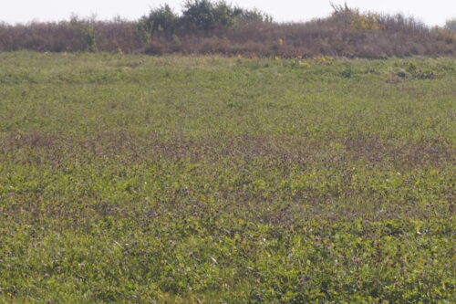 Lot2 S Arabian Avenue, Manhattan, IL