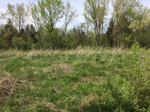 Lot 4 E Mundhank Road, South Barrington, IL