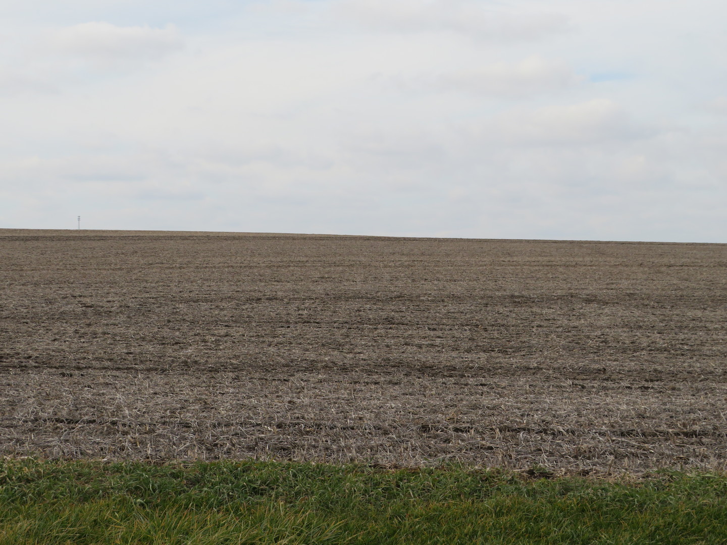 000 N Moore Road, Lindenwood, IL