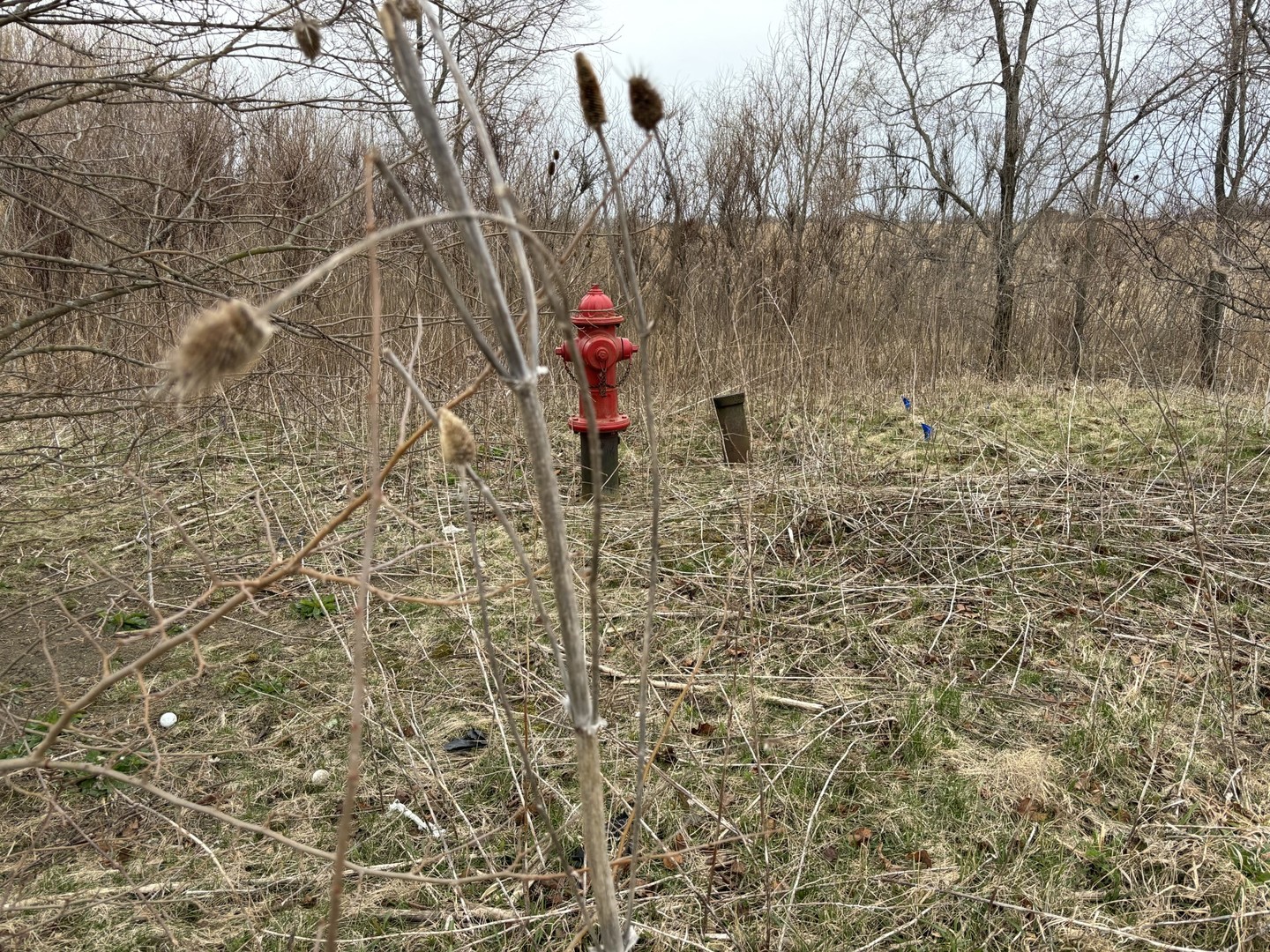 0000 W Waterford Lane, Manhattan, IL