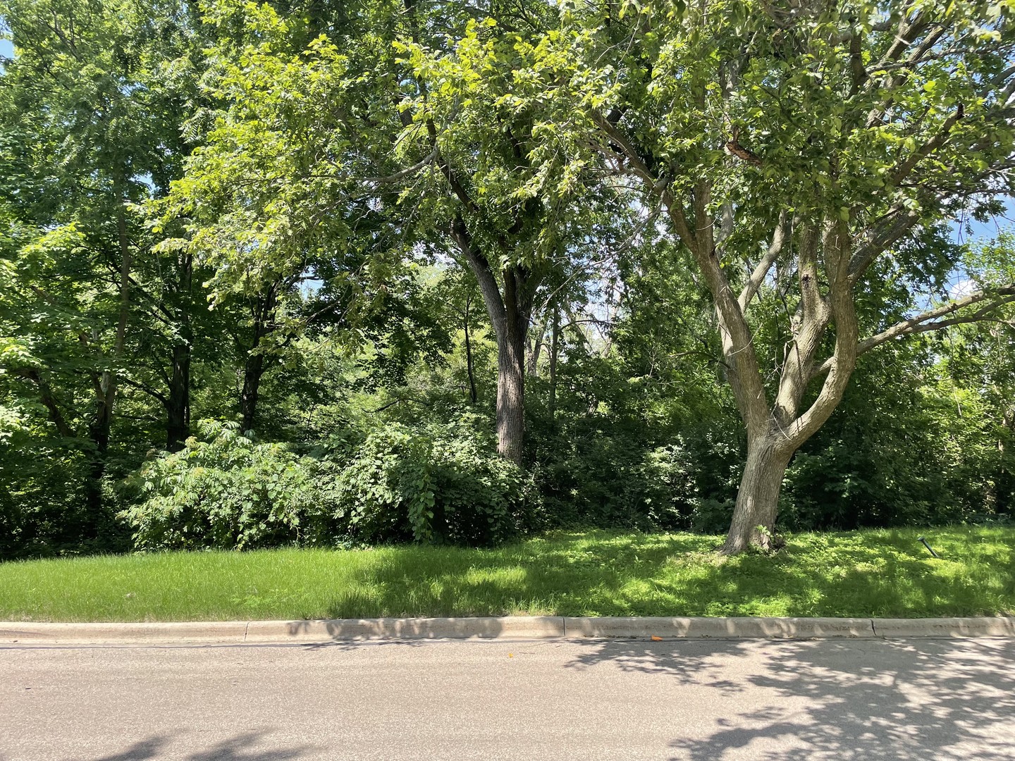 Lot 4 Manchester Avenue, Batavia, IL