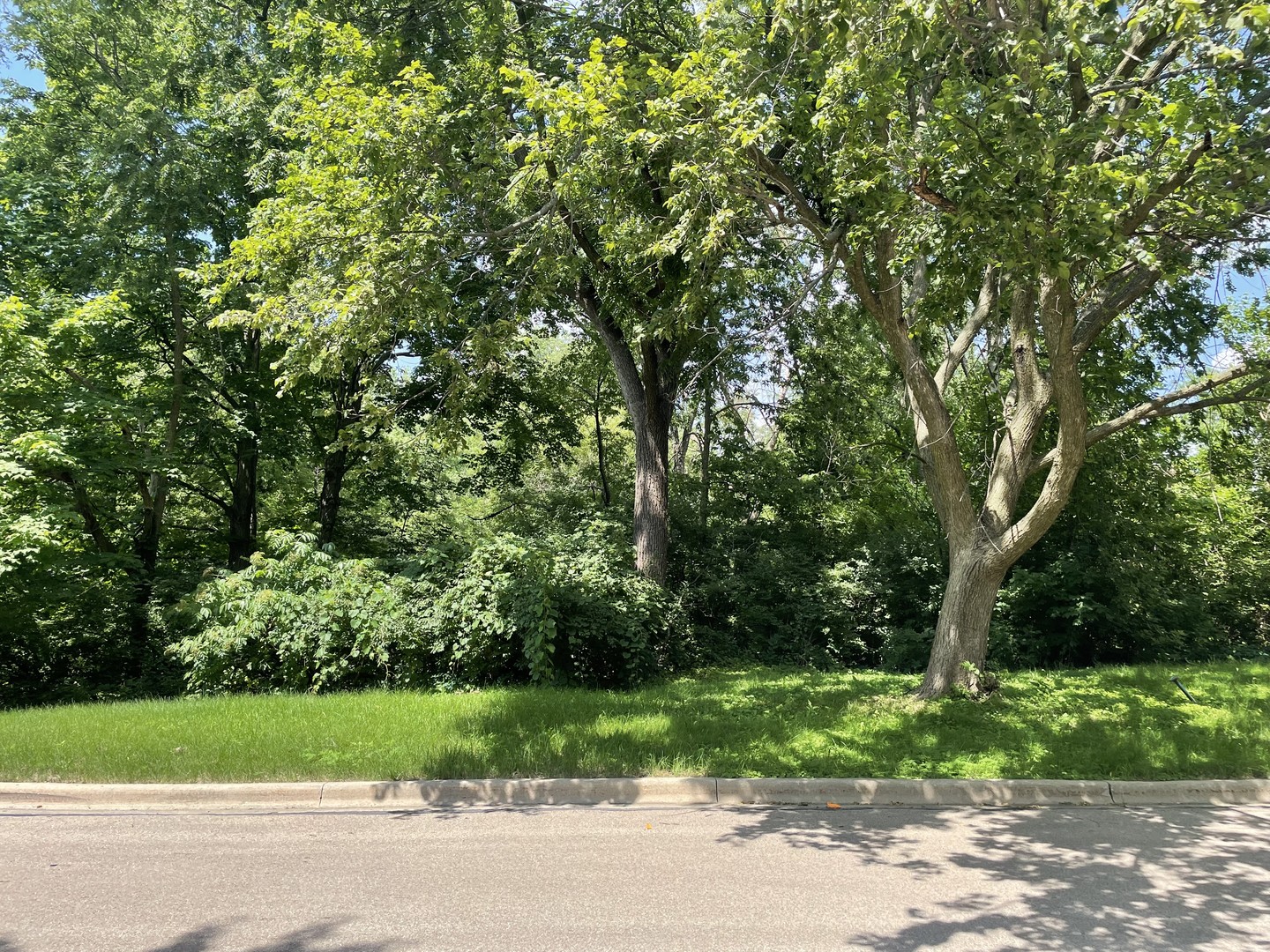 Lot 4 Manchester Avenue, Batavia, IL