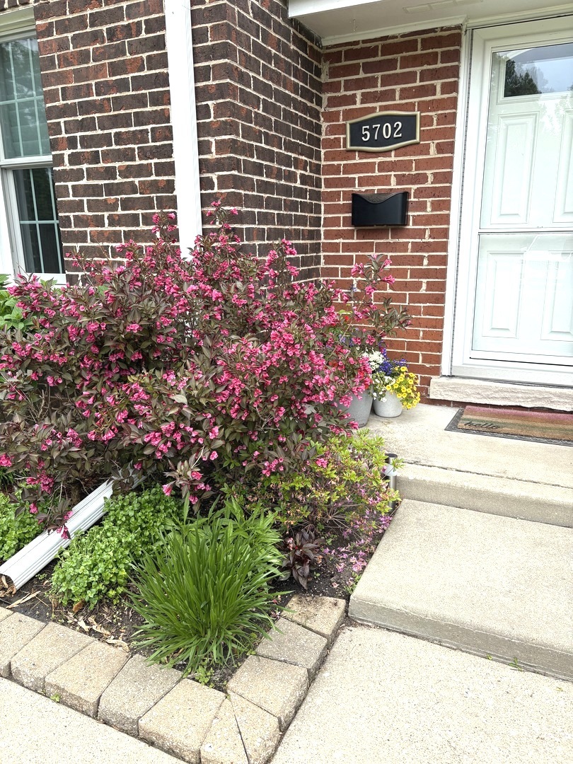 5702 S Park Avenue, Hinsdale, IL