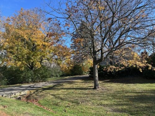 335 Countryside Court, Burr Ridge, IL