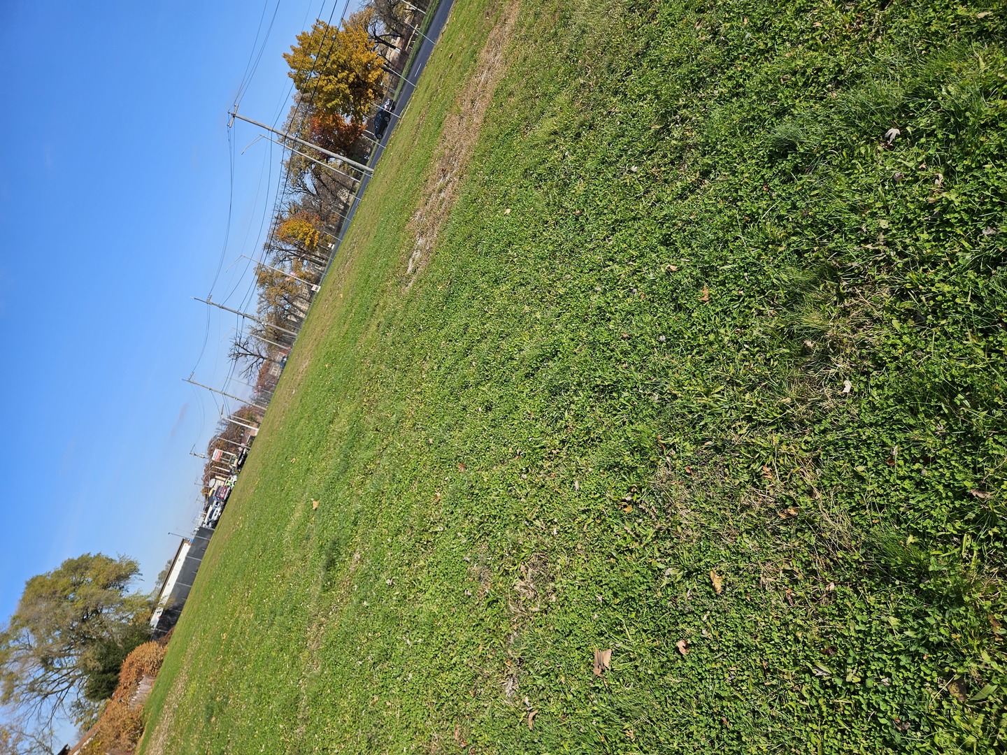 16224 Cicero Avenue, Oak Forest, IL