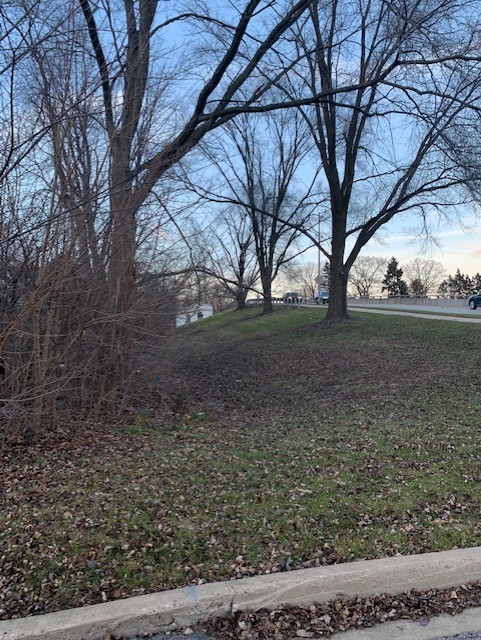 636 E 4th Avenue, Naperville, IL