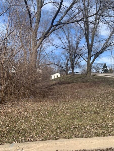 636 E 4th Avenue, Naperville, IL