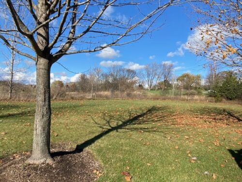 6475 Woodland Hills Drive, Lakewood, IL