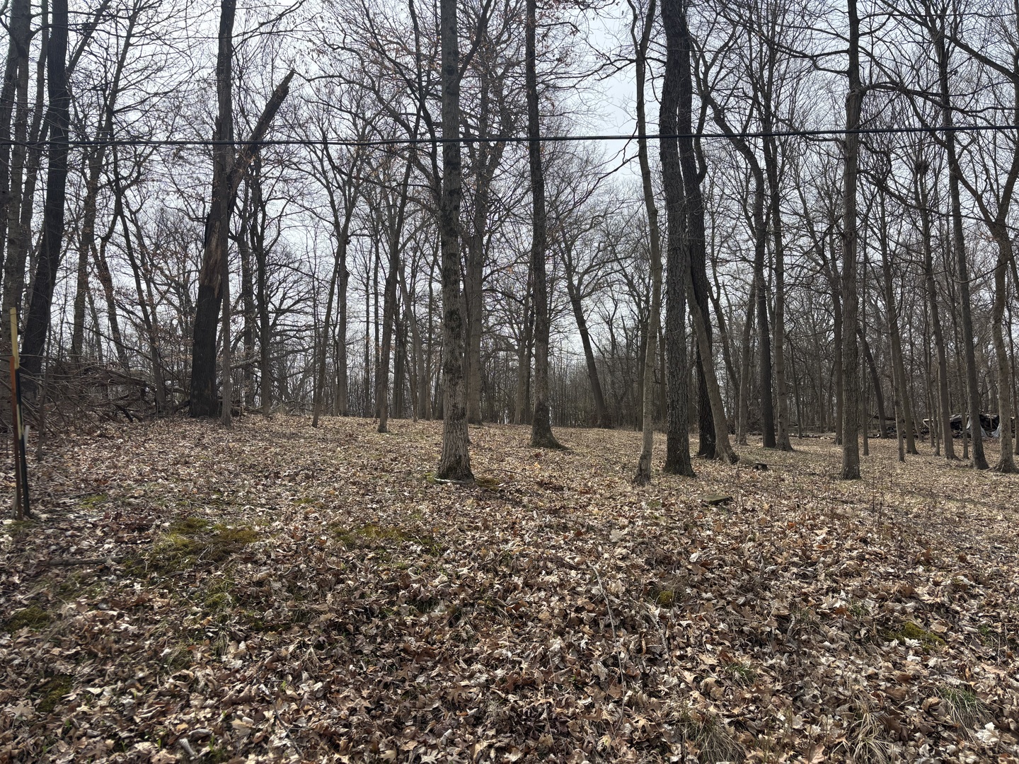 1729/1730/1731 Tanglewood Drive, Varna, IL